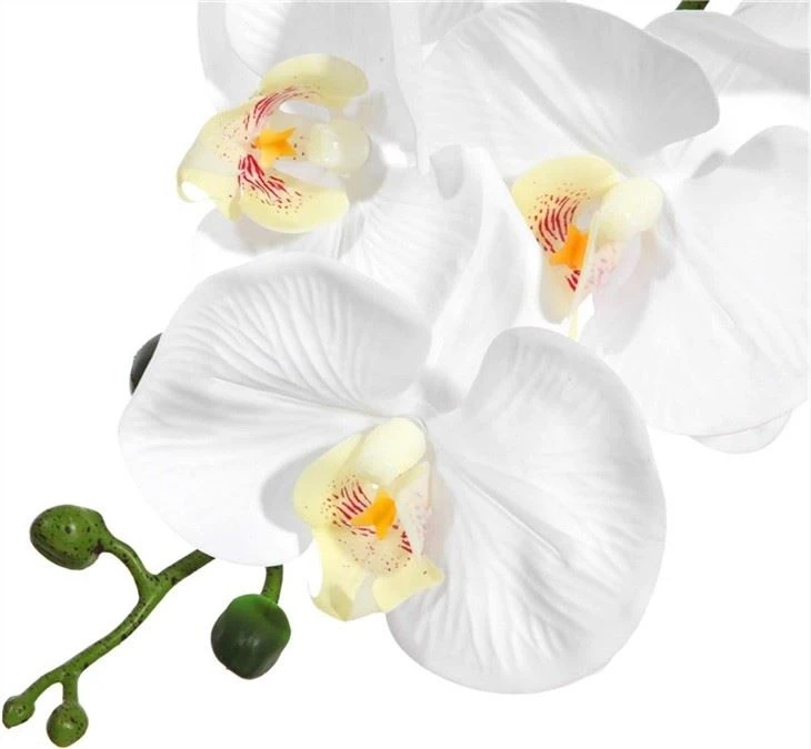 real touch orchids